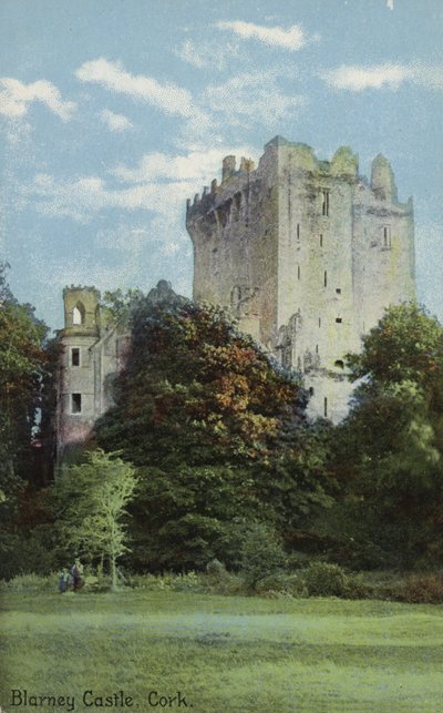 Blarney Kasteel, Cork door Irish Photographer