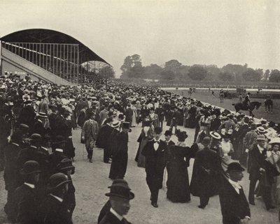 Paardenshow, Ball
