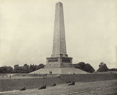 Het Wellington Monument, Phoenix Park door Irish Photographer