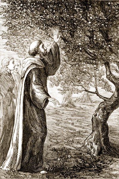 St. Columba verandert bittere vruchten in zoete, uit The Trias Thaumaturga, of Three Wonder-Working Saints of Ireland, door Mary Cusack, gepubliceerd ca. 1890s door Irish School