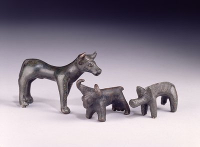 Twee stieren uit Hongarije en een everzwijn uit Gower Cave, Rhossilly, Zuid-Wales, IJzertijd door Iron Age