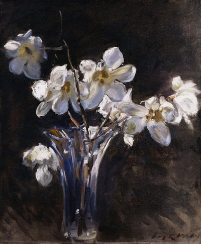 Magnolia