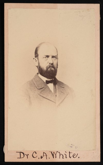 Portret van Charles Abiathar White 1826-1910, 1868 door Isaac Augustus Wetherby