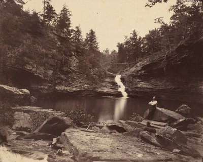 Lula Lake, Lookout Mountain, Georgia, 1864-1865 door Isaac H. Bonsall