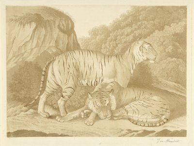 Twee tijgers in een landschap door Isaac van Haastert (signed by artist)
