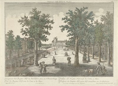 Gezicht op het Buitenhof in Den Haag door Isaac van Haastert