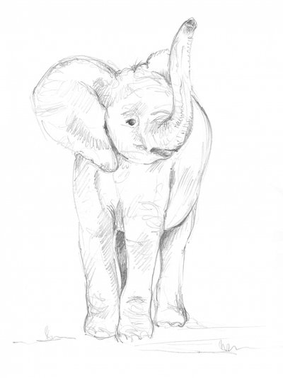 Babyolifant 02 door Isabelle Brent