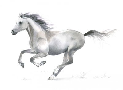 Dynamische gratie van een galopperend paard door Isabelle Brent