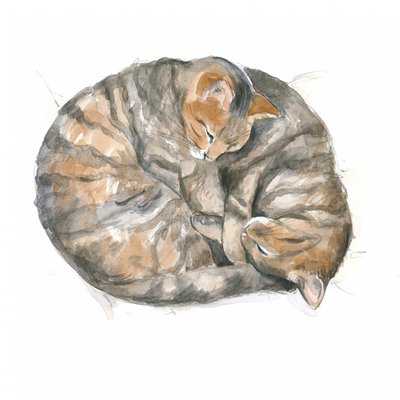 Ronde katten door Isabelle Brent