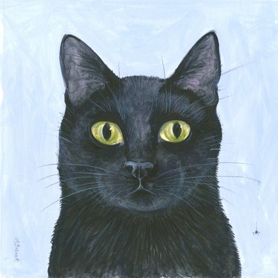 De snorhaar van de kat door Isabelle Brent