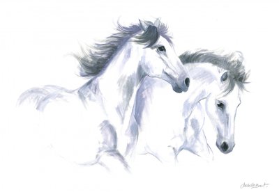 Twee paarden door Isabelle Brent