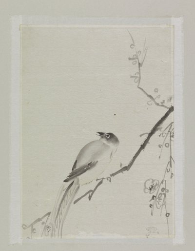 Vogel op een tak van een kersenboom door Ishikawa Kazan