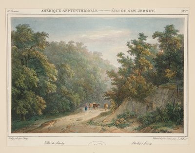 Amerique Septentrionale - Staat New Jersey. N. 49, pl. 1 door Isidore Laurent Deroy