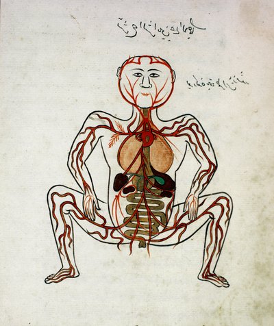 Arabische geneeskunde: 