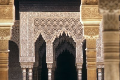 Detail van bogen in het Hof van de Leeuwen door Islamic School