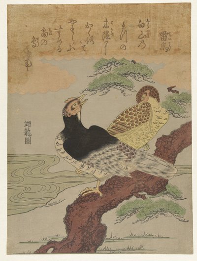 Dondervogels door Isoda Koryusai