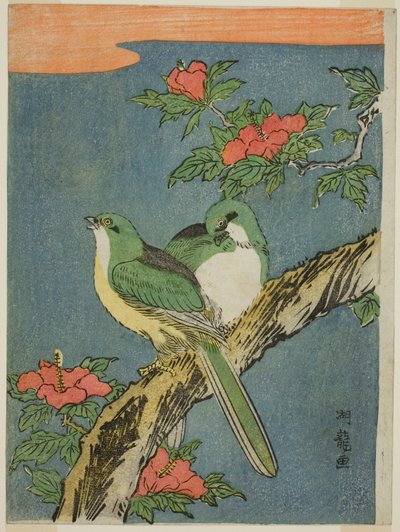 Twee vogels op een hibiscusboom door Isoda Koryusai