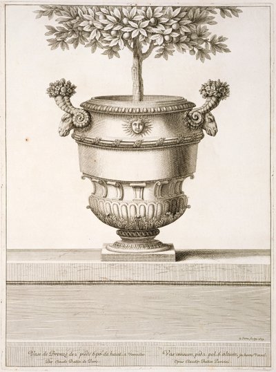 Bronzen urnen gebruikt voor citrusbomen, illustratie uit 