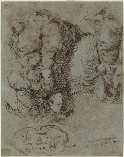 Studies van een Mannelijke Torso door Italian 16th Century