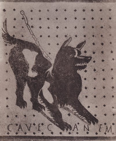 Mosaico, Cave Canem, Mozaïek, Cave Canem door Italian Photographer