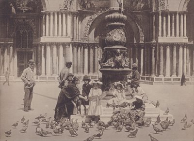 Piccioni door Italian Photographer