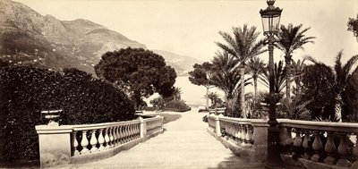 De tuin van het Casino van Montecarlo, in het Vorstendom Monaco door Italian Photographer