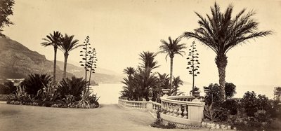 De tuin van het Casino van Montecarlo, in het Vorstendom Monaco door Italian Photographer
