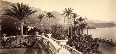 De tuin van het Casino van Montecarlo, in het Vorstendom Monaco door Italian Photographer