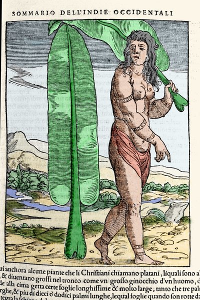 Een West-Indische inboorling staande bij een tabaksblad. Gravure uit het boek 