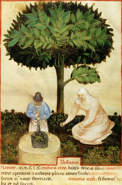 Absint, uit een manuscript over 