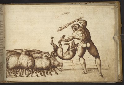 Schapen (