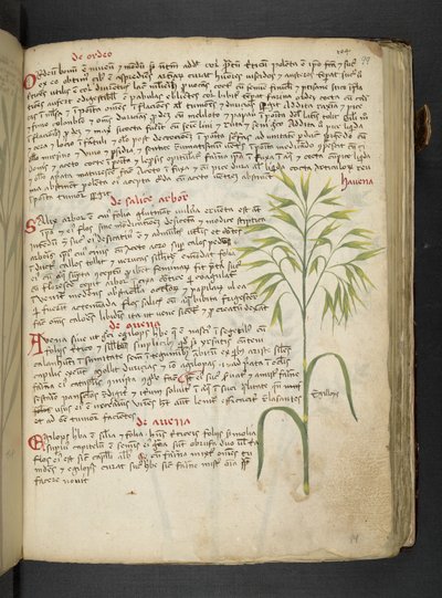 Een kruidenboek, Belluno door Italian School