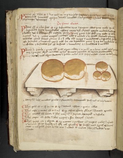 Add MS 41623 f.124v De Pane, uit 