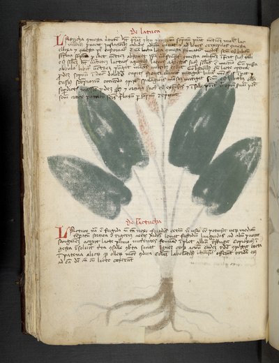 Add MS 41623 f.80v 