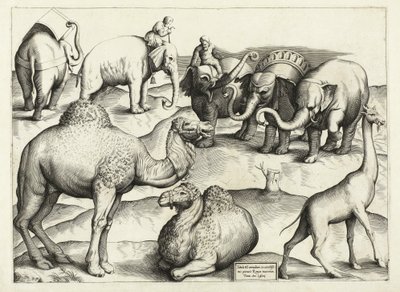 Dierschilderijen uit het oude Rome, Tafel, 3., pub. Antonio Lafrere 1528 door Italian School