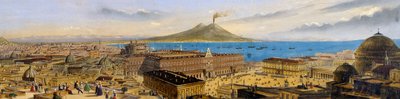 Vogelvlucht van het Koninklijk Paleis en Piazza Plebiscito in Napels, Italië door Italian School