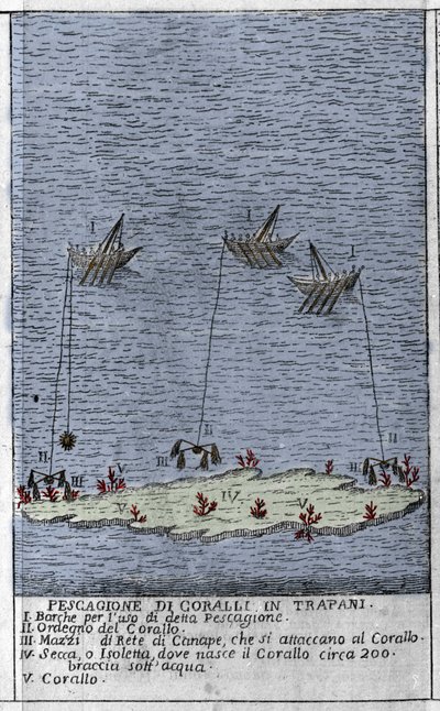 Koraalvissen in de Golf van Trapani in Sicilië, een voorstelling van kleine onderwatereilanden waar koraalvaten worden gevormd. Gravure uit 