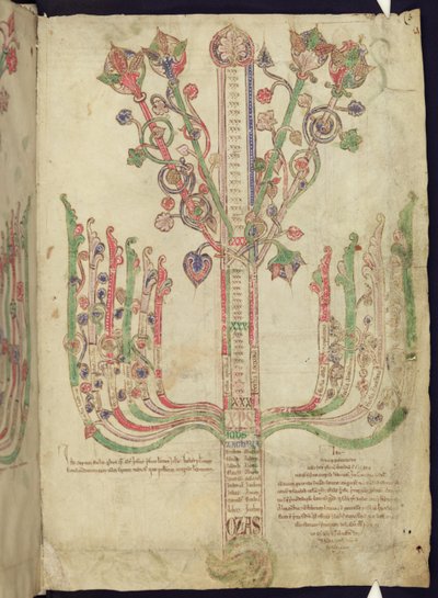 Corpus Christi Oxford MS 255A f.11r Boom die genealogie van Bijbelse figuren in het Nieuwe Testament afbeeldt door Italian School