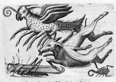 Verschillende soorten monsterlijke dieren. Gravure uit 