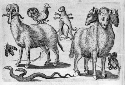Verschillende soorten monsterlijke dieren, met meerdere lichamen of een abnormaal aantal ledematen. Gravure uit 