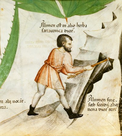 Aluin winnen, ca. 1440 door Italian School