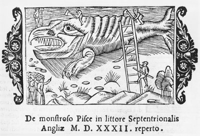 Vismonster, illustratie uit Historia de Gentibus Septentrionalibus door Olaus Magnus (1490-1558), gepubliceerd in Rome, 1555 door Italian School