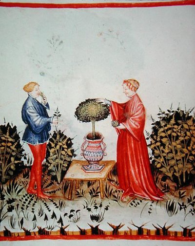 Fol.39v Basilicum Curatum Verzamelen, illustratie uit 