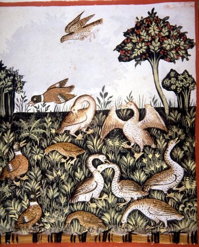 Fol.69v Eenden en Ganzen, illustratie uit 