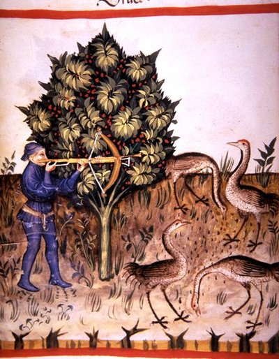 Fol.70v Kraanvogel Jagen, illustratie uit 