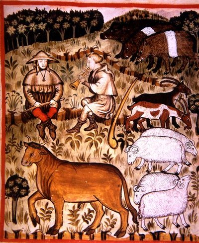 Fol.71r Gecastreerde Dieren, illustratie uit 