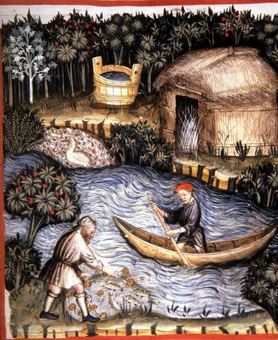 Fol.82r Verse Vis, illustratie uit 