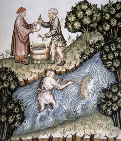 Vissen, illustratie uit Tacuinum Sanitatis Codex Vindobonensis door Italian School