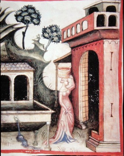 Fol.88v Bronwater, illustratie uit 