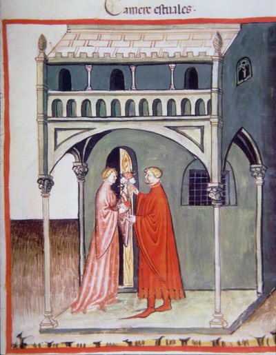 Zomerkamer, illustratie uit Tacuinum Santiatis Codex Vindobonensis door Italian School
